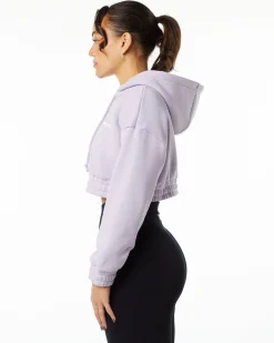 Classic Capital Crop Hoodie